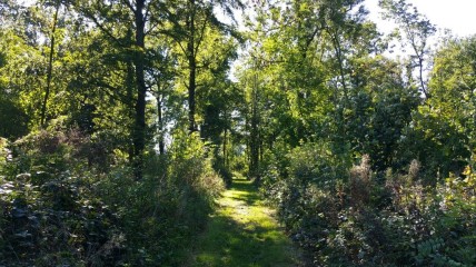 Herfstwandeling naar de Galgebossen in Elverdinge.