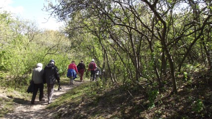 Wandeling Beisbroek